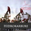 hidrokarbure